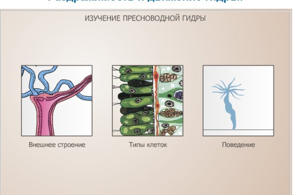 Кракен оригинальная ссылка для тор