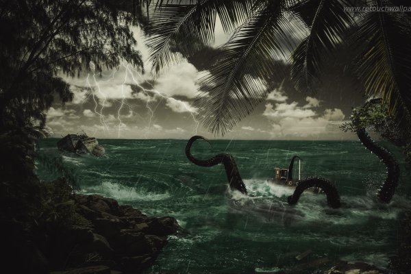 Кракен даркнет store kraken dark link