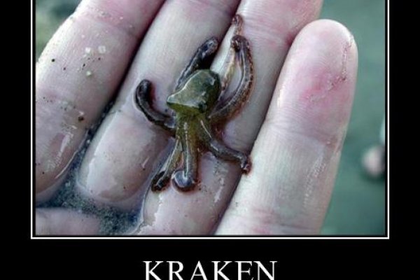 Kraken зеркало krakens13 at